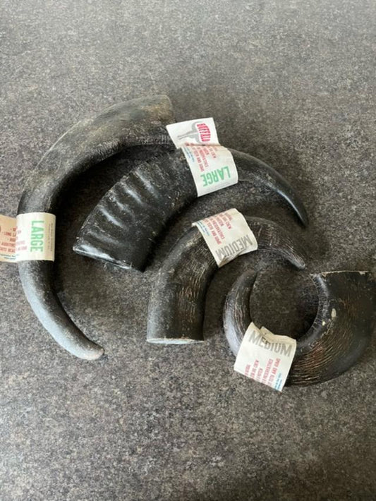 Buffalo Horns